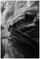 Glowing canyon wall reflected in pool, Mystery Canyon. Zion National Park ( black and white)