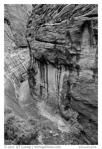 Virgin River Narrows seen from above. Zion National Park (black and white)