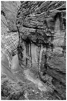 Virgin River Narrows seen from above. Zion National Park ( black and white)