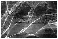 Ripples reflected on canyon walls, Pine Creek Canyon. Zion National Park ( black and white)