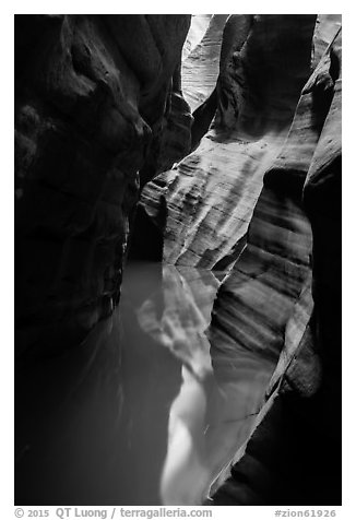 Slot canyon reflections, Pine Creek Canyon. Zion National Park (black and white)