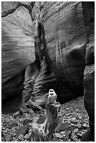 Juvenile owls on tree log, Pine Creek Canyon. Zion National Park ( black and white)