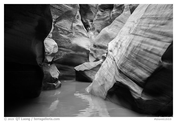 Slot canyon narrows and reflections, Pine Creek Canyon. Zion National Park (black and white)