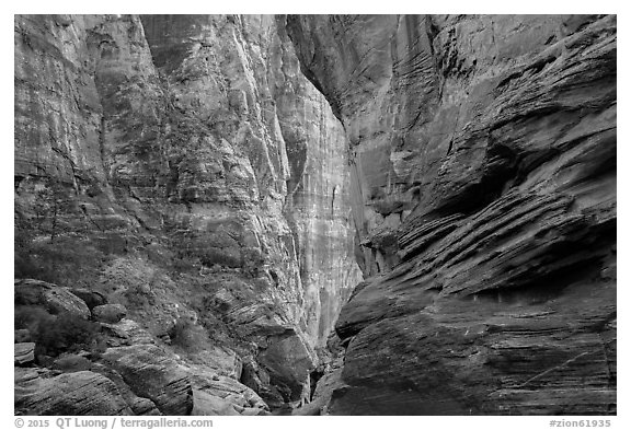Tall canyon walls, Pine Creek Canyon. Zion National Park (black and white)