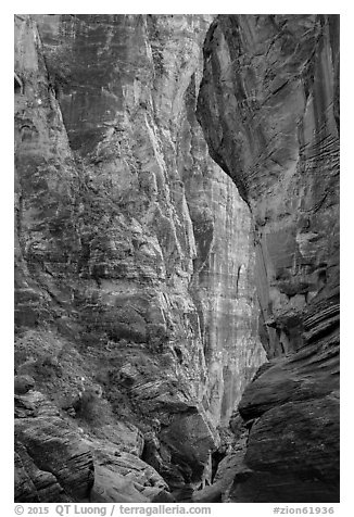 Pine Creek Canyon walls. Zion National Park (black and white)