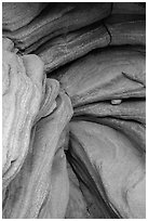 Sandstone ledges and chockstone, Pine Creek Canyon. Zion National Park ( black and white)