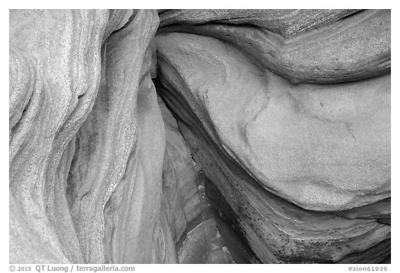 Sandstone ledges, Pine Creek Canyon. Zion National Park (black and white)