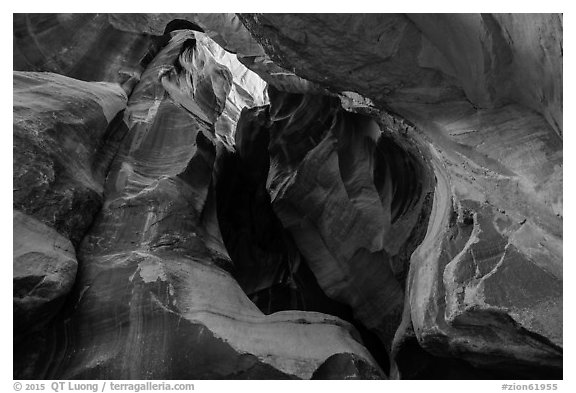 Sculpted alcove, Pine Creek Canyon. Zion National Park (black and white)