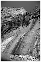 Mystery Falls. Zion National Park ( black and white)