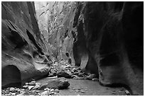 Orderville Narrows. Zion National Park ( black and white)