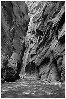 Hikers silhouettes, Virgin River Narrows. Zion National Park ( black and white)