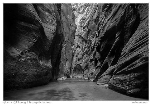 Soaring dark walls, the Narrows. Zion National Park (black and white)