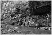 Cliffs with trees, the Narrows. Zion National Park ( black and white)