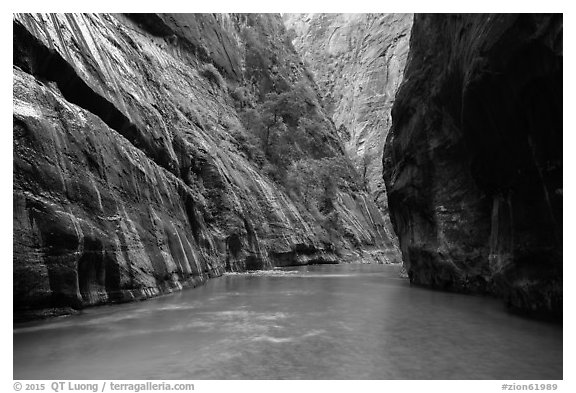 Placid and wide section of Virgin River between cliffs, the Narrows. Zion National Park (black and white)