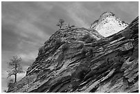 Trees, red and white cliffs, East Zion. Zion National Park ( black and white)