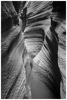 Water-scuptured walls of Keyhole Canyon. Zion National Park ( black and white)