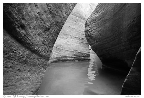 Water in the narrows of Keyhole Canyon. Zion National Park (black and white)