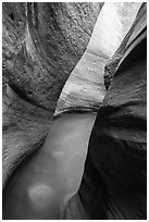 Pool in narrows, Keyhole Canyon. Zion National Park ( black and white)