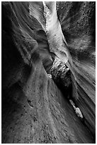 Stone wedged in slot canyon, Keyhole Canyon. Zion National Park ( black and white)