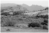 Grasses and sandstone, Kolob Terraces. Zion National Park ( black and white)