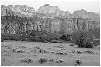 Tall grasses and rock towers, Kolob Terraces. Zion National Park ( black and white)