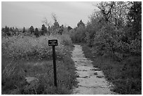 West Rim Trail into Zion Wilderness. Zion National Park ( black and white)