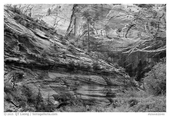 Echo Canyon. Zion National Park (black and white)