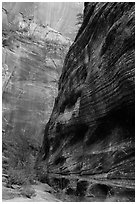 Echo Canyon and smooth face of Cable Mountain. Zion National Park ( black and white)