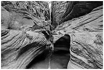 Pool and narrows, Echo Canyon. Zion National Park ( black and white)