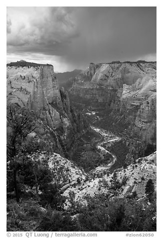 Zion Canyon from above under storm light. Zion National Park (black and white)