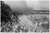 Blooming cactus and East Rim at Observation Point. Zion National Park ( black and white)