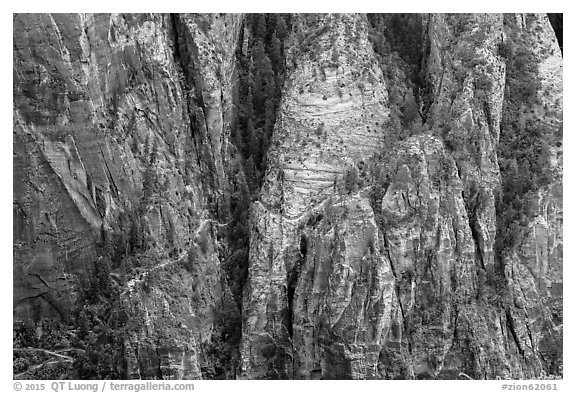 Distant view of Hidden Canyon trail. Zion National Park (black and white)