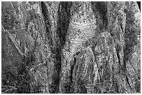 Distant view of Hidden Canyon trail. Zion National Park ( black and white)