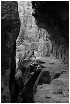 Trail cut into Echo Canyon. Zion National Park ( black and white)