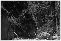 Hiking in dry creek bed, Orderville Canyon. Zion National Park ( black and white)