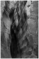 Slot between canyon walls, Orderville Canyon. Zion National Park ( black and white)