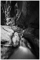 Stream, Orderville Canyon. Zion National Park ( black and white)