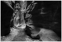 Stream and glowing wall, Orderville Canyon. Zion National Park ( black and white)