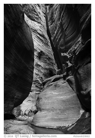 Slot canyon section of Orderville Canyon. Zion National Park (black and white)