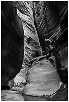 Slot canyon section of Orderville Canyon. Zion National Park ( black and white)
