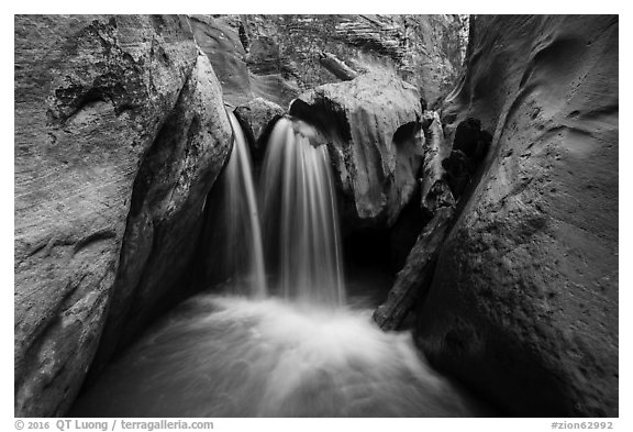 Waterfall and jammed log, Orderville Canyon. Zion National Park (black and white)