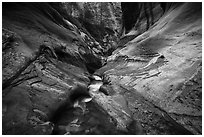 Stream in narrow watercourse, Orderville Canyon. Zion National Park ( black and white)