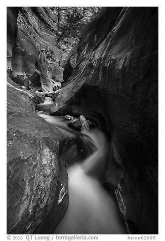 Twisted and narrow watercourse, Orderville Canyon. Zion National Park (black and white)