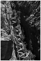 Walters Wiggles. Zion National Park ( black and white)