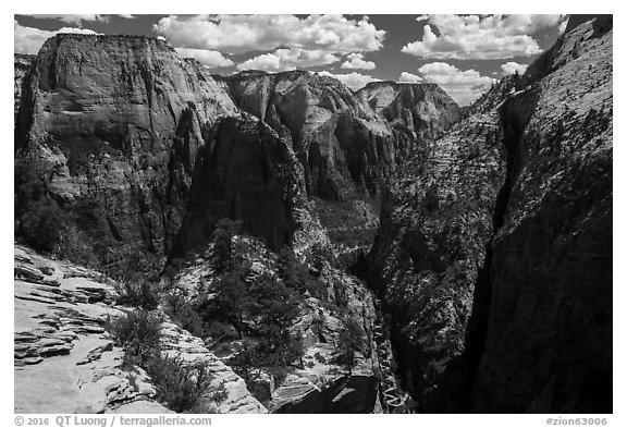 Great White Throne, Angels Landing, and Walters Wiggles. Zion National Park (black and white)