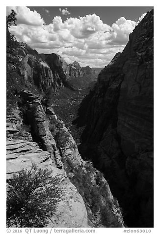 Zion Canyon from Angels Landing. Zion National Park (black and white)