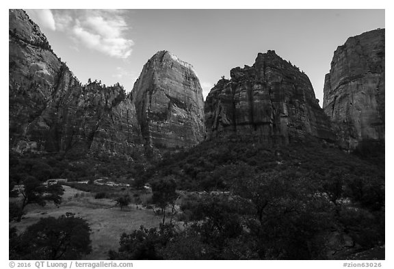 Great White Throne and Organ at sunset. Zion National Park (black and white)