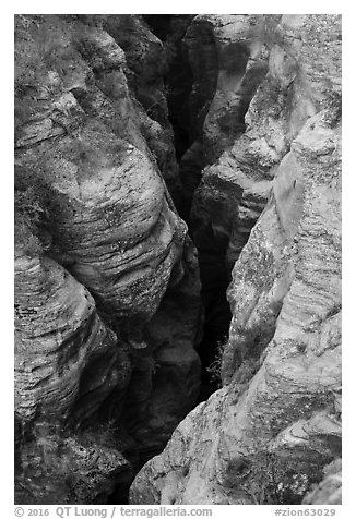 Slot of Pine Creek Canyon from above. Zion National Park (black and white)