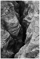 Slot of Pine Creek Canyon from above. Zion National Park ( black and white)