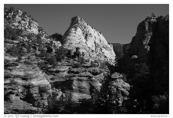 Deertrap Mountain. Zion National Park (black and white)